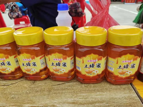 慶豐收感黨恩 蘄春縣農副產品展銷會隆重開幕，優質土特產精彩亮相